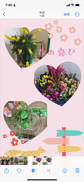 IMG_5974.PNG