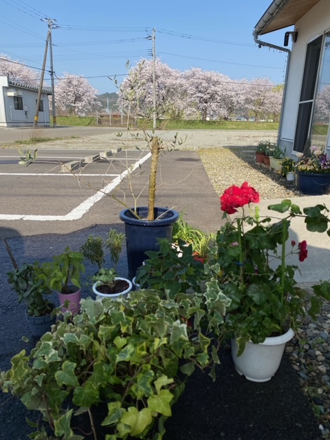 image0.jpeg