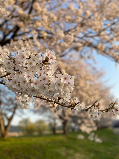 image3.jpeg