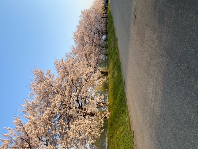 image4.jpeg
